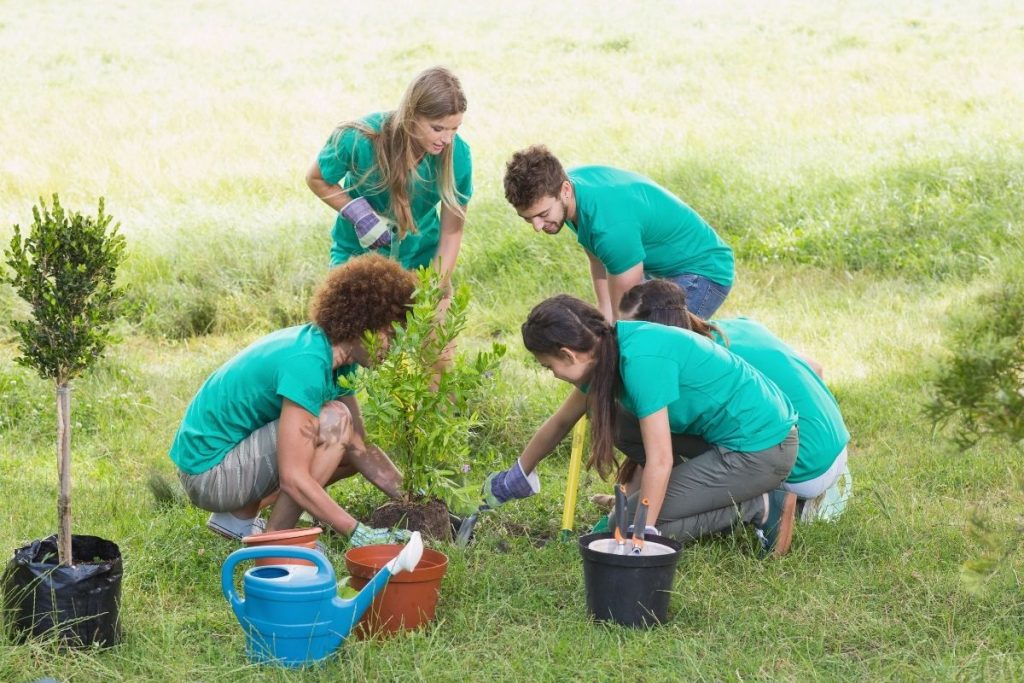 What colleges look for: Students volunteering 